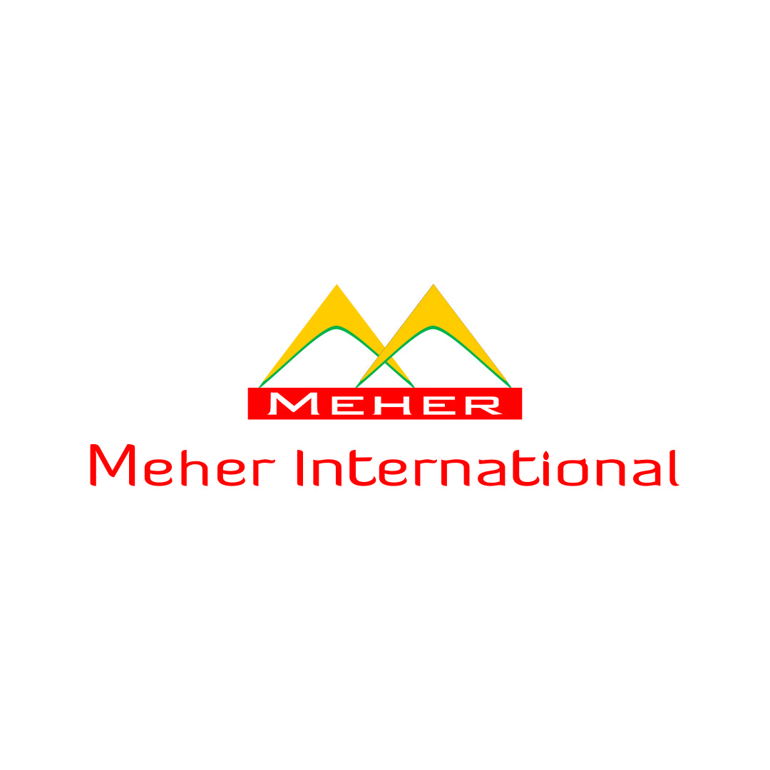 9. Meher Internationanl