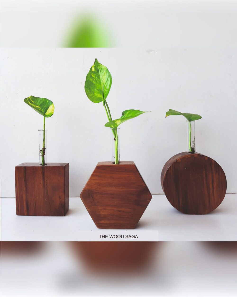 Table Top Planter Combo
